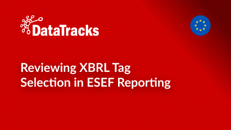 Reviewing XBRL Tag Selection in ESEF Reporting