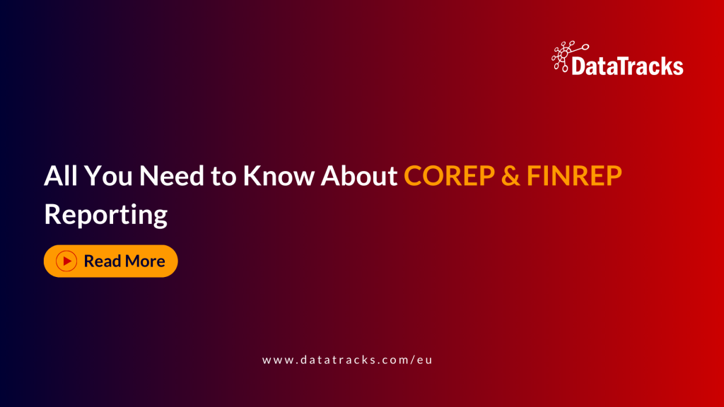 All You Need to Know About COREP FINREP Reporting