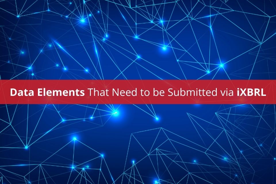 Data Elements in iXBRL