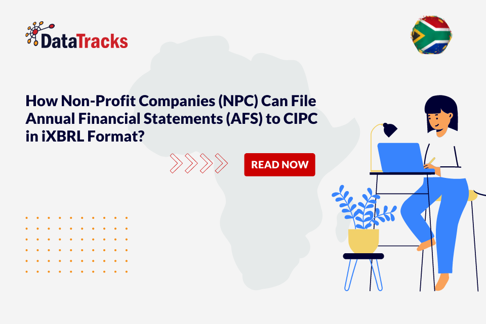 How NPC can file AFS to CIPC in iXBRL format - SA Blog - DataTracks iXBRL Experts