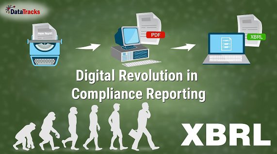 xbrl iamge