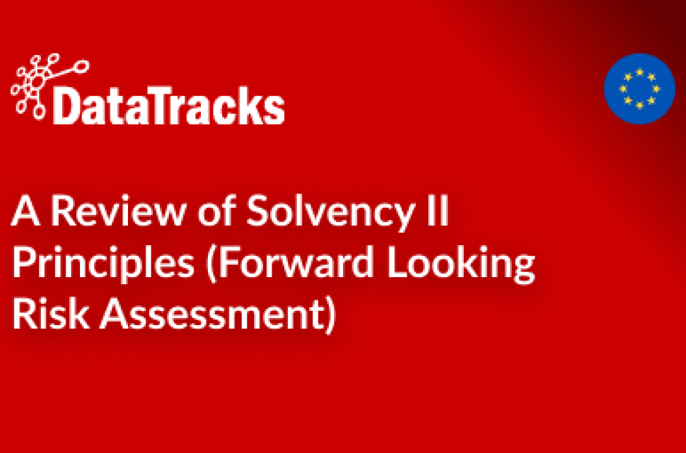 A Review of Solvency II Principles (Forward Looking Risk Assessment)