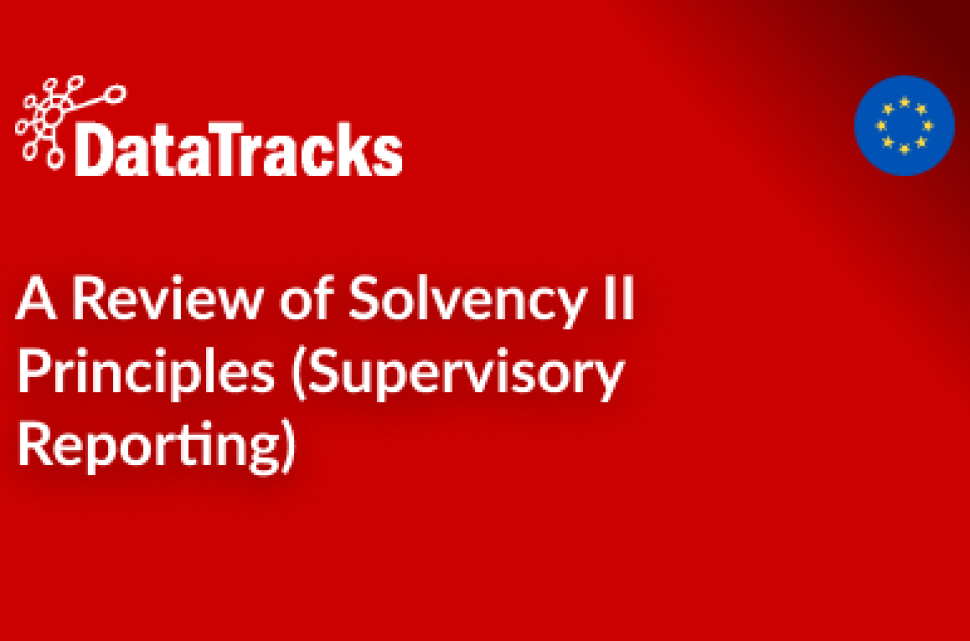 A Review of Solvency II Principles (Supervisory Reporting)