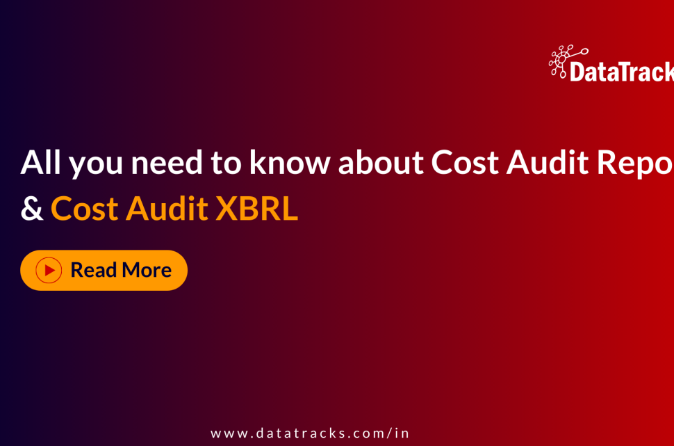 All you need to know about Cost Audit Report