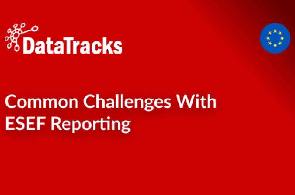 Common Challenges With ESEF Reporting