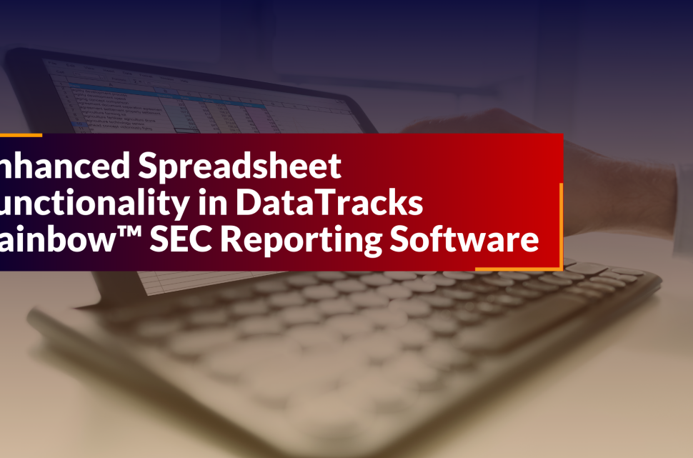 Enhanced Spreadsheet Functionality in DataTracks Rainbow™ SEC Reporting Software