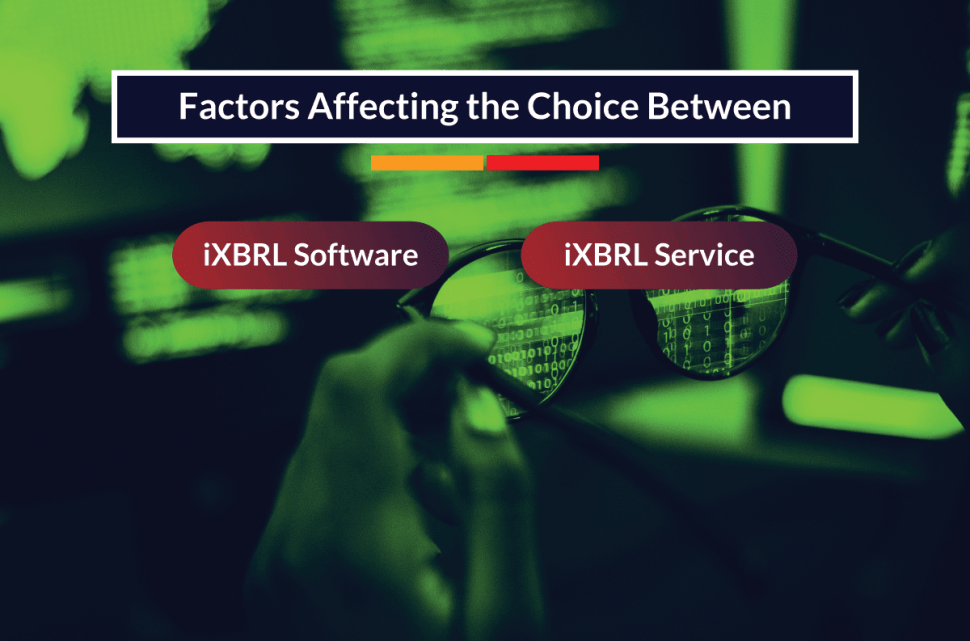 iXBRL software or Service
