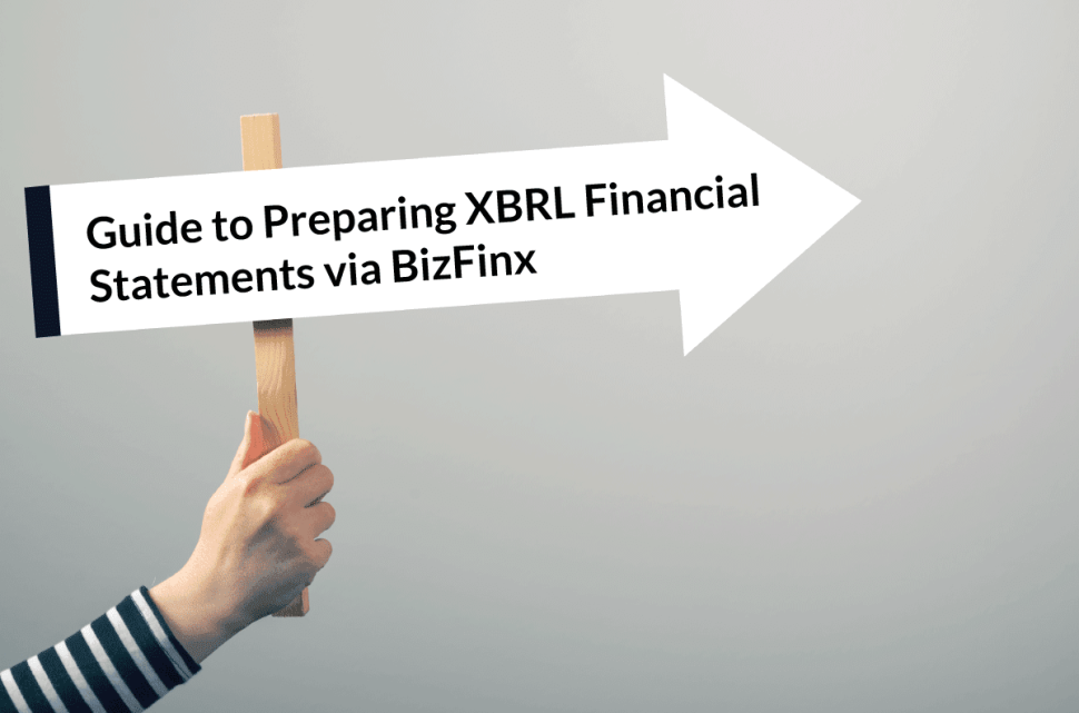 Guide-to-Preparing-XBRL-Financial-Statements-via-BizFinx