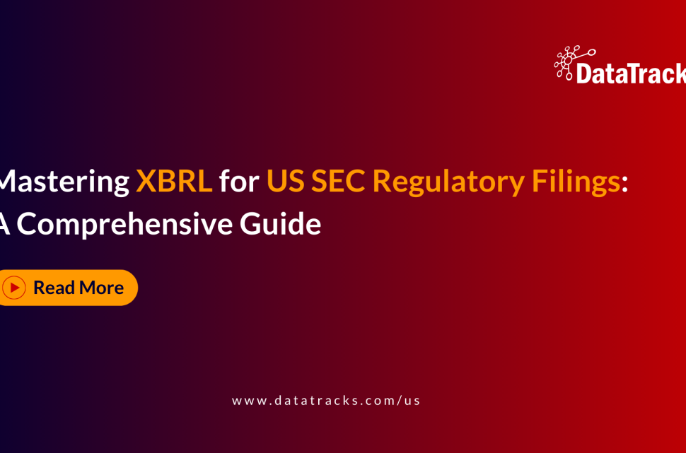 Mastering XBRL for US SEC Regulatory Filings