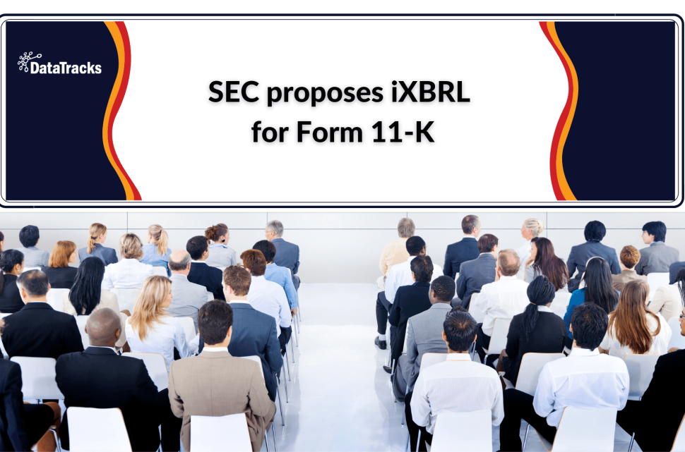 SEC_Blog Banner_iXBRL for Form 11-K