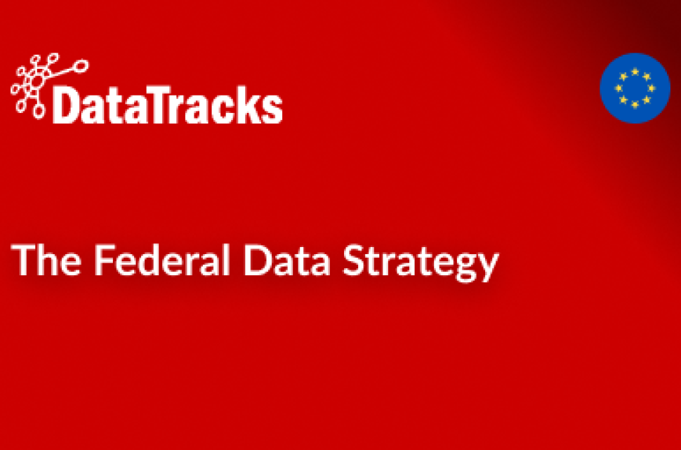 The Federal Data Strategy