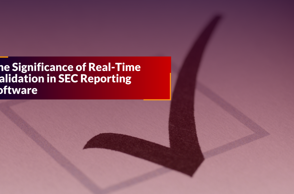 Validation in SEC Reporting Software