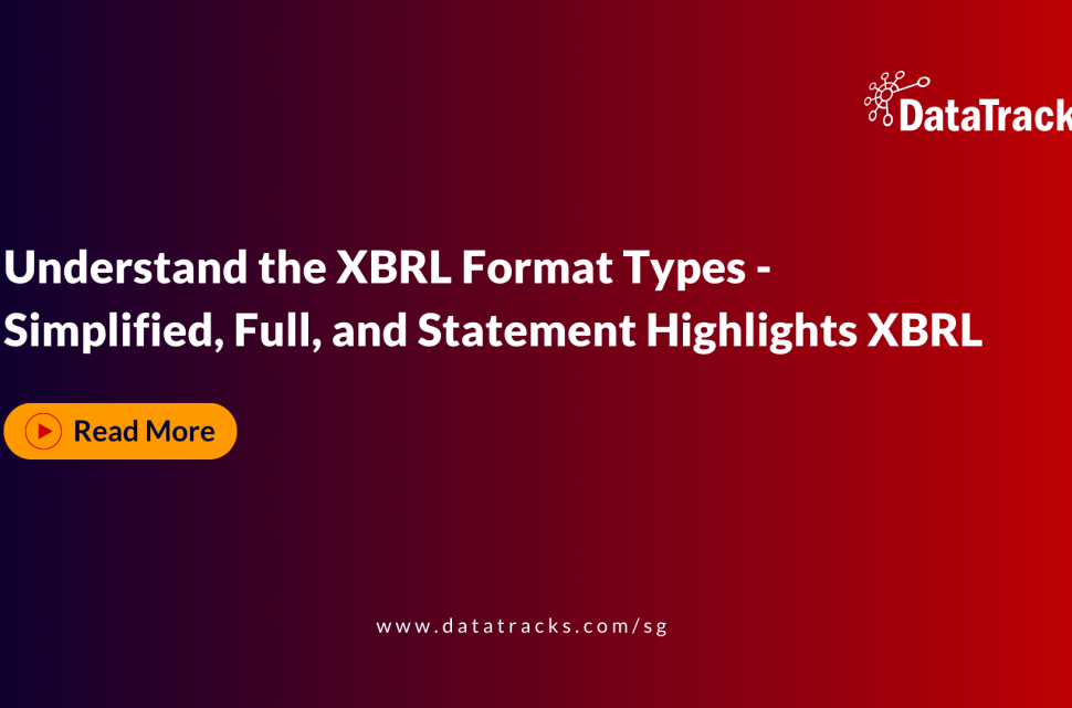 Understand the XBRL Format Types